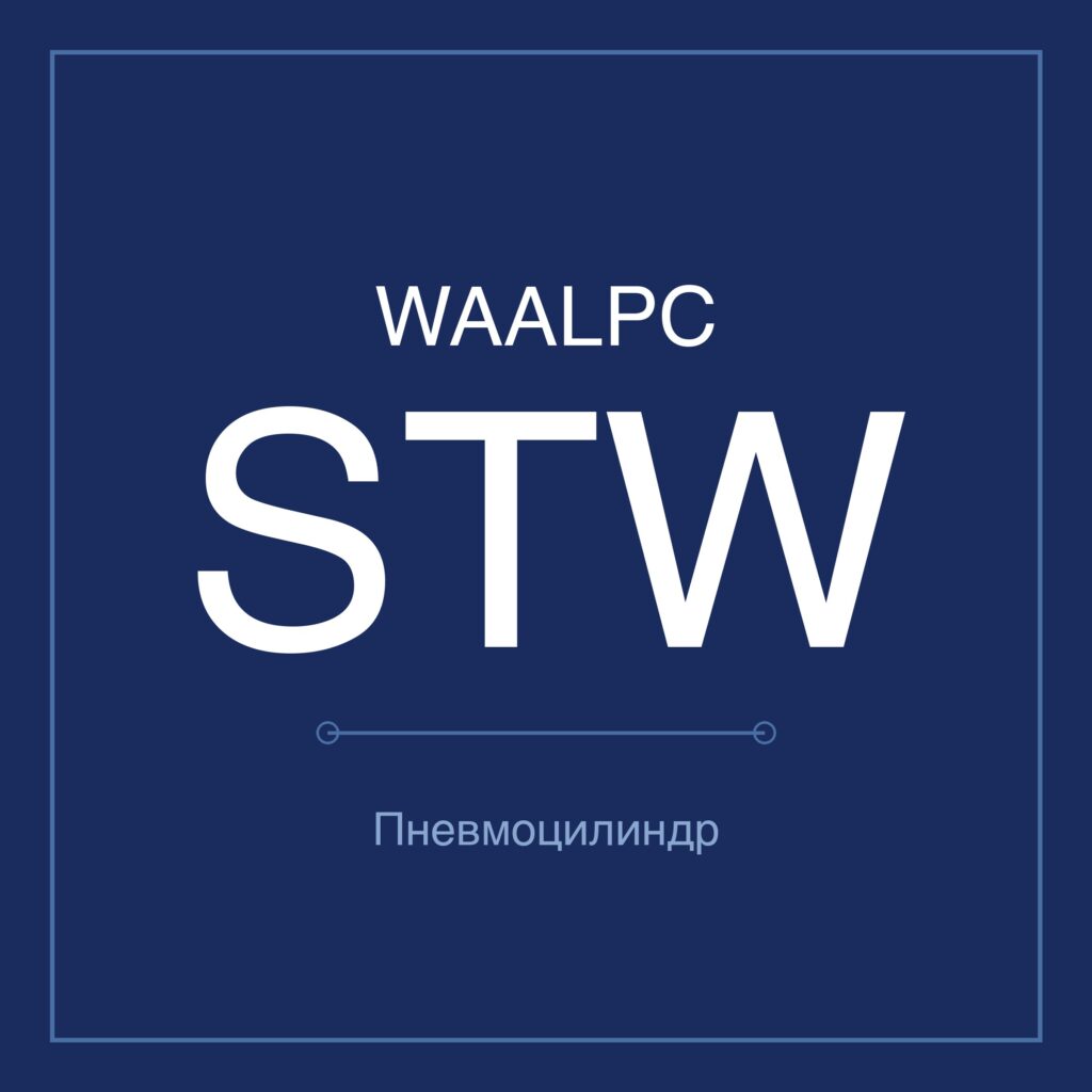 Пневмоцилиндр с двумя штоками STW — Ø10–32 мм, ход 25–250 мм WAALPC STW-10-100