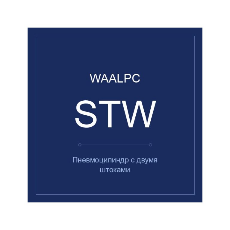 Пневмоцилиндр с двумя штоками STW