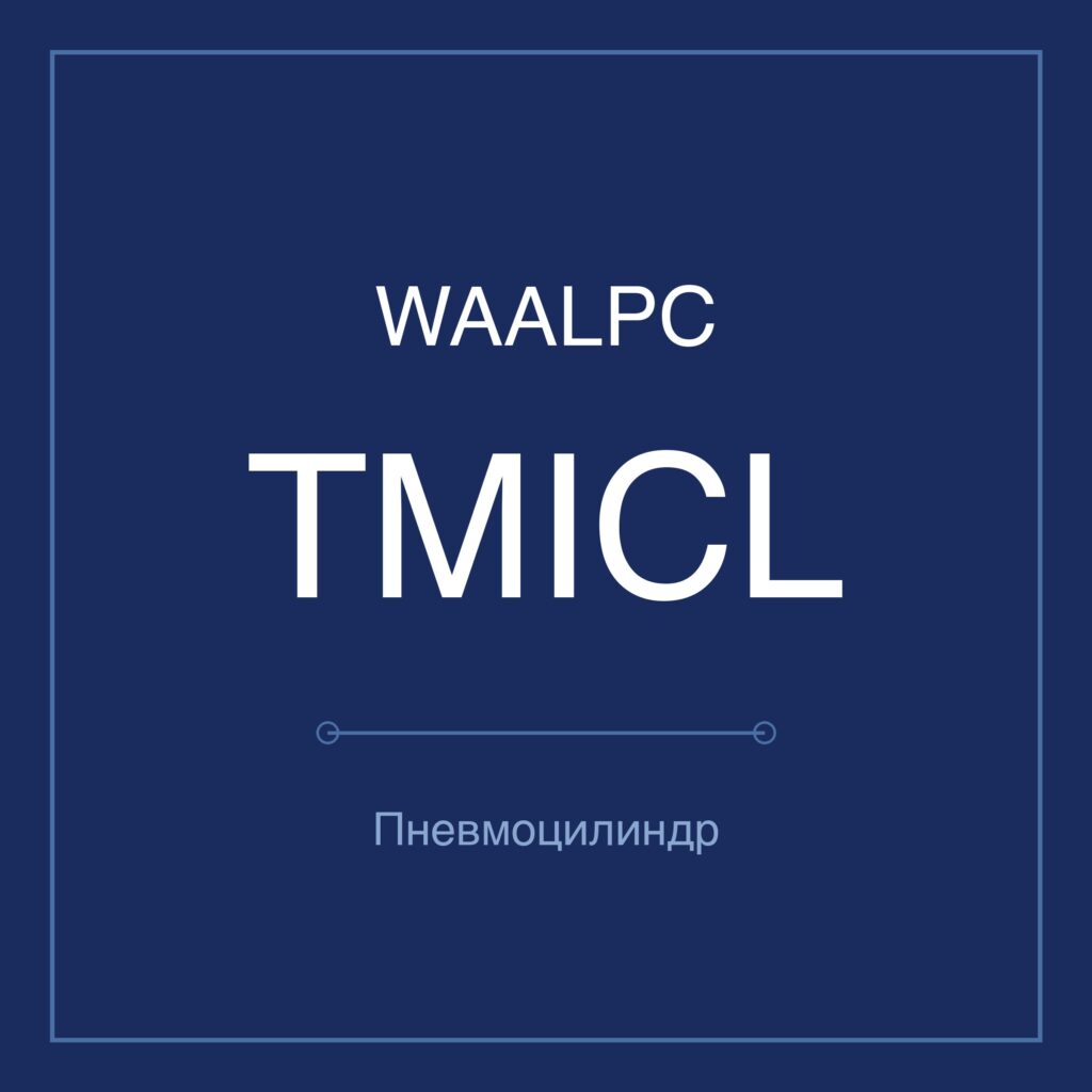 Пневмоцилиндр стандартный TMICL — Ø20–100 мм WAALPC TMICL-100