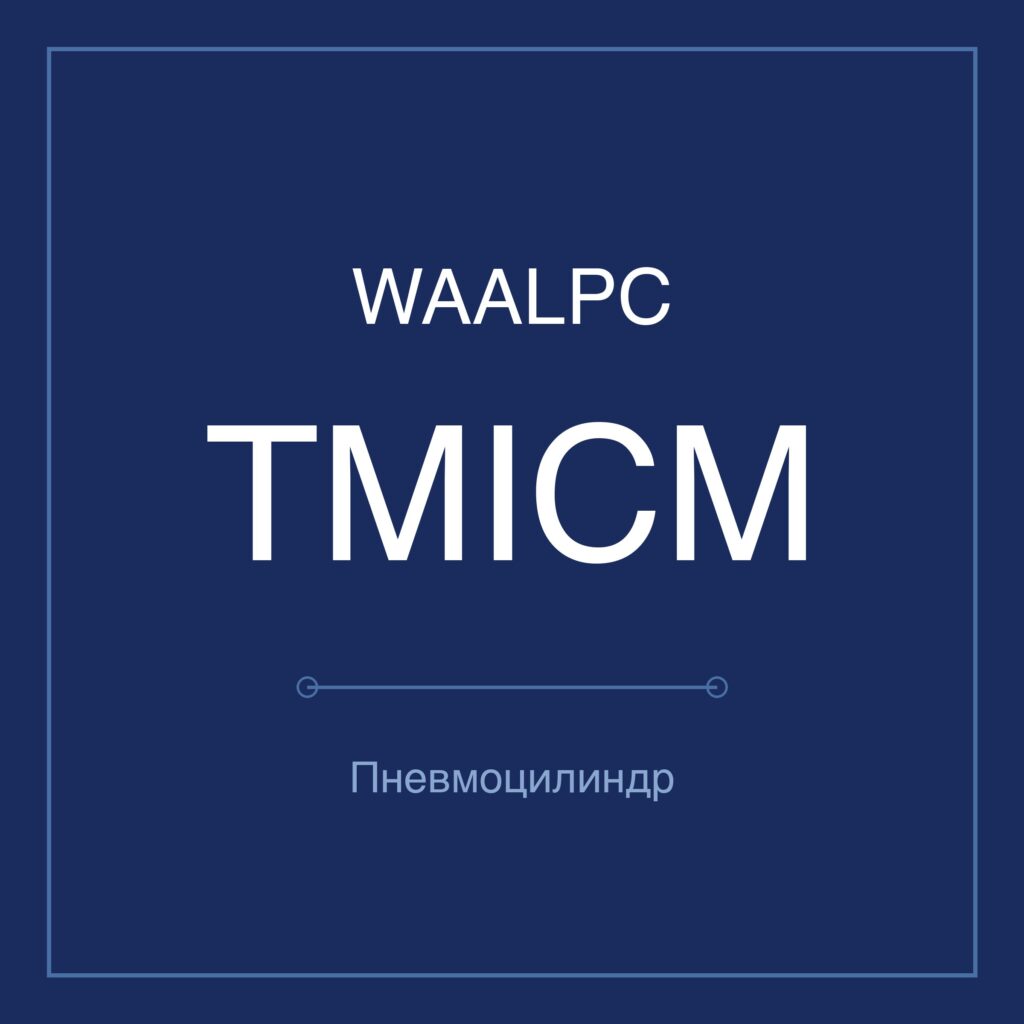 Пневмоцилиндр стандартный TMICM — Ø20–100 мм WAALPC TMICM-100