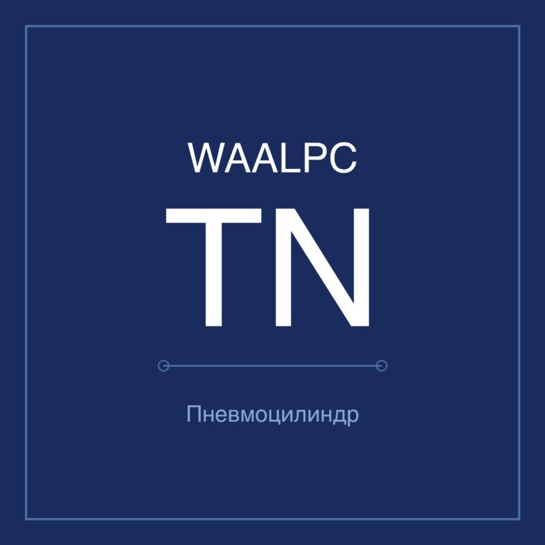 Пневмоцилиндр с двумя штоками TN — Ø10–50 мм, ход 10–300 мм