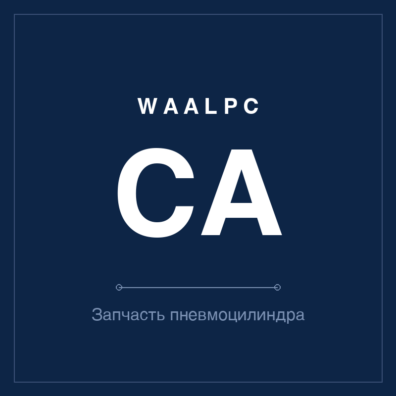 Запчасть пневмоцилиндра CA WAALPC CA-SP