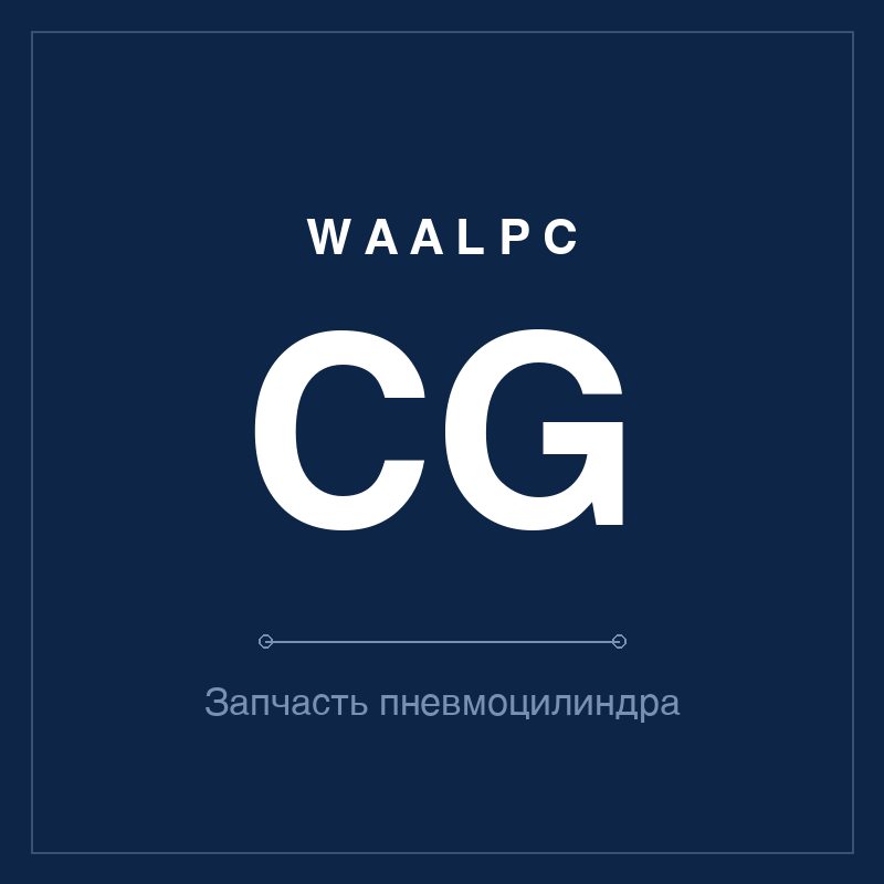 Запчасть пневмоцилиндра CG WAALPC CG-SP
