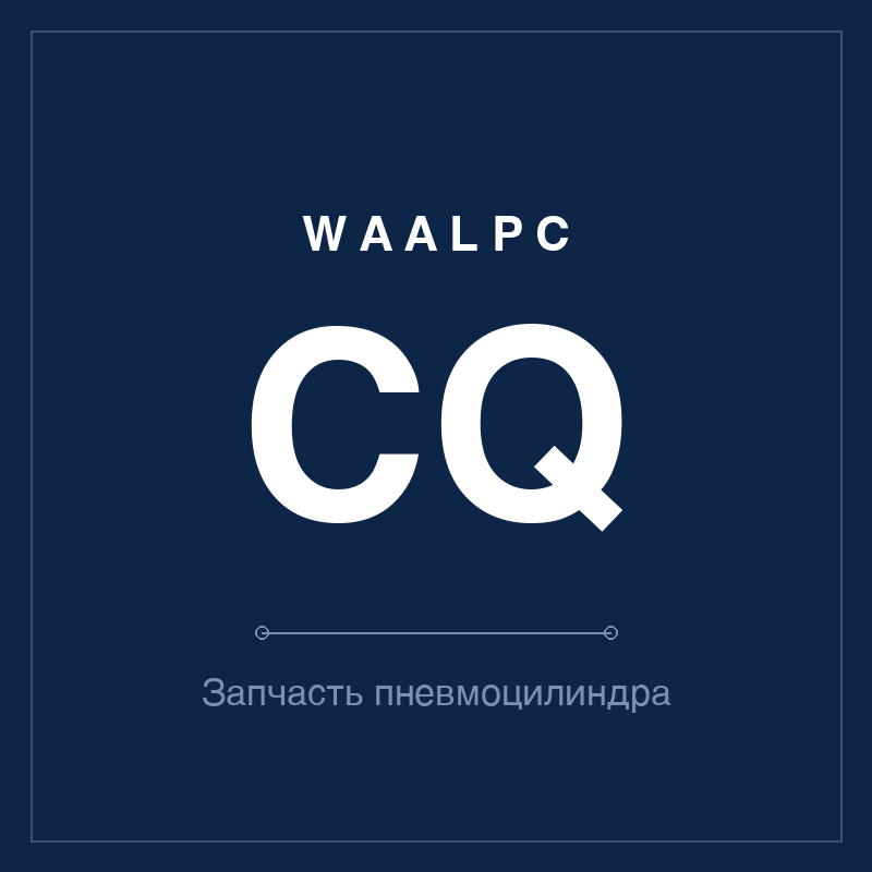 Запчасть пневмоцилиндра CQ WAALPC CQ-SP