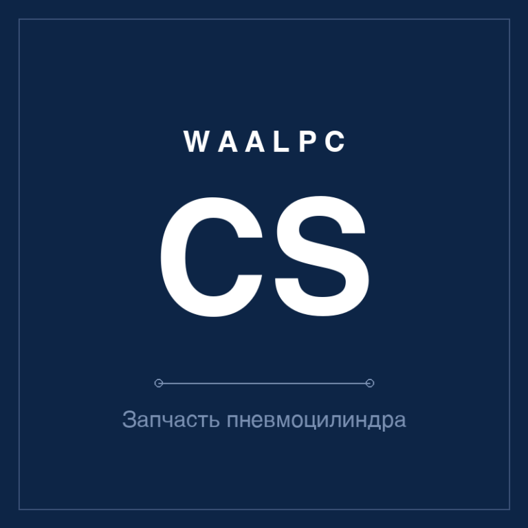 Запчасть пневмоцилиндра CS