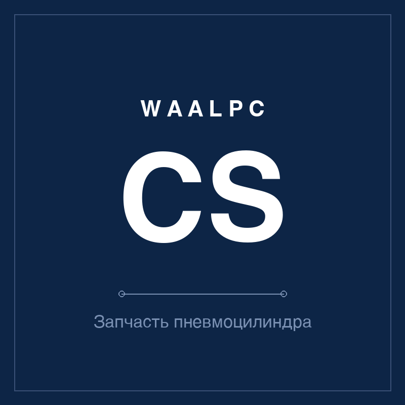 Запчасть пневмоцилиндра CS WAALPC CS-SP