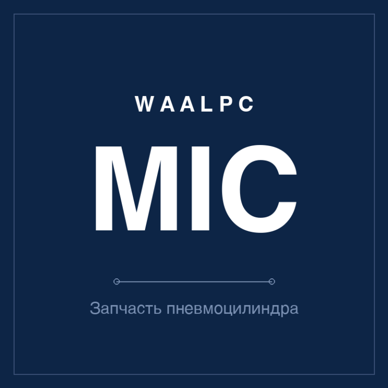 Запчасть пневмоцилиндра MIC